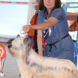 Skye-Terrier expo 