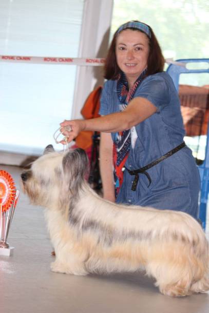Skye-Terrier expo 
